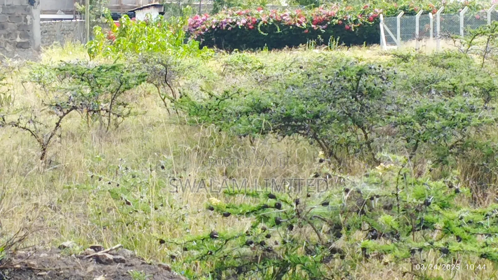 Plots for Sale in Chuna Estate Kitengela in Kitengela