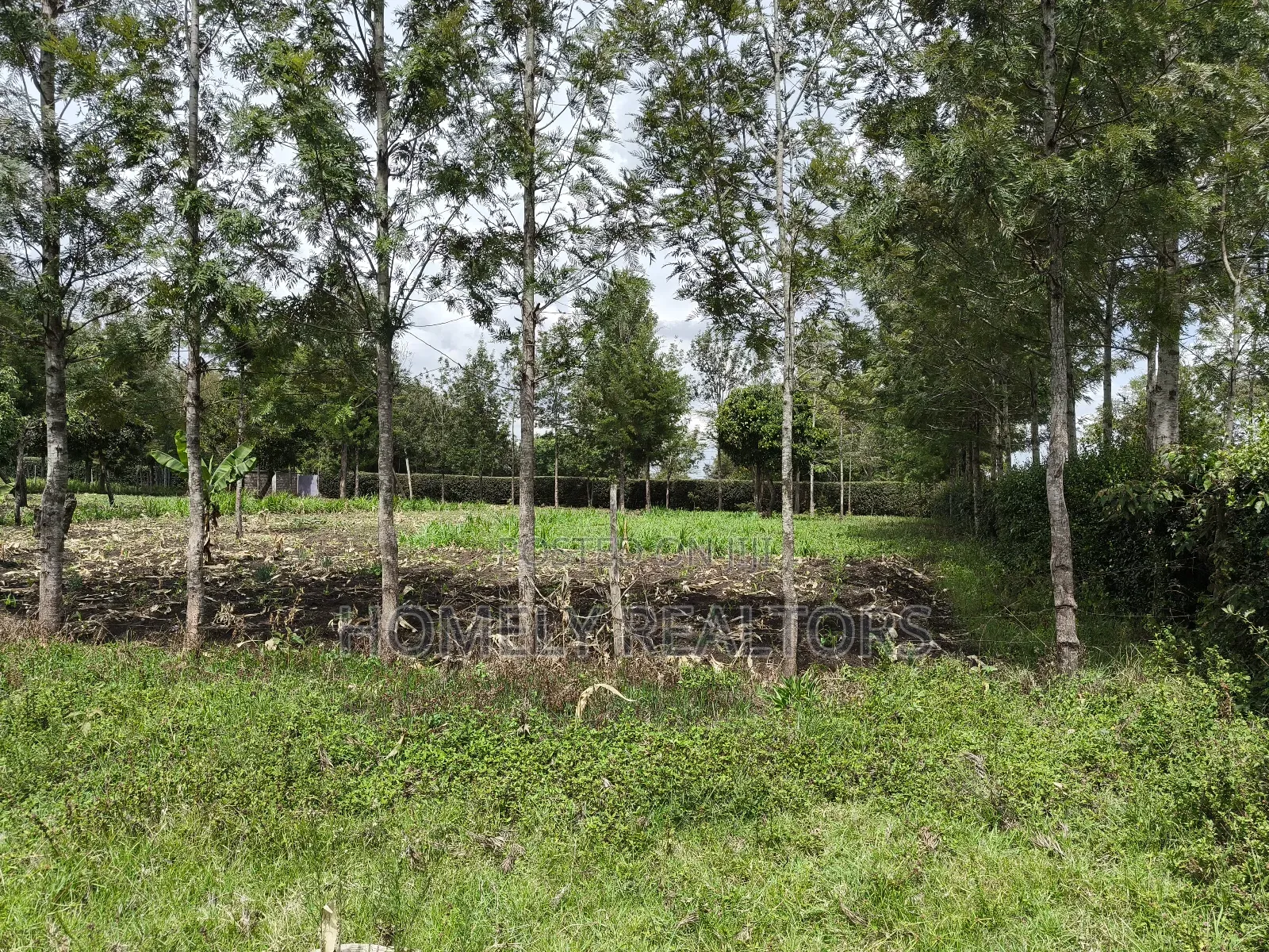 Leafy Quarter Acre Plot in Ngong, Matasia Along Oloika Road in Matasia