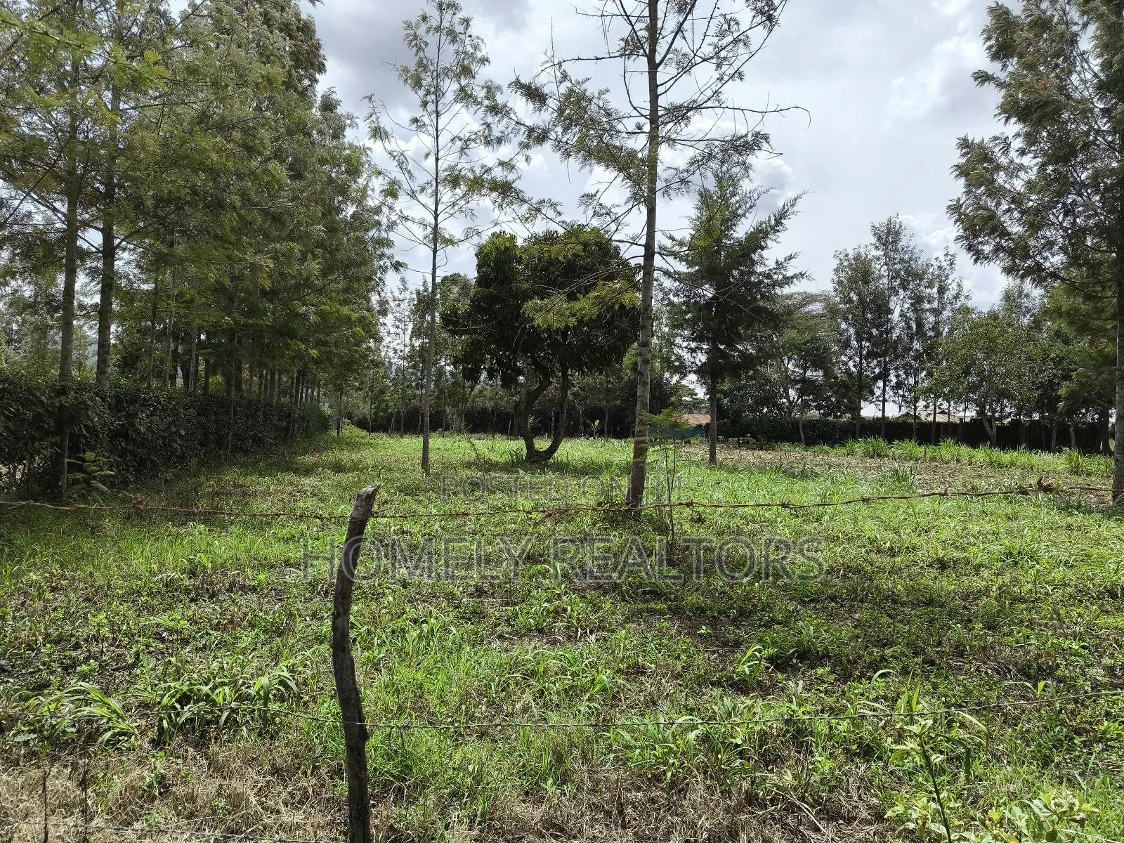 Leafy Quarter Acre Plot in Ngong, Matasia Along Oloika Road in Matasia