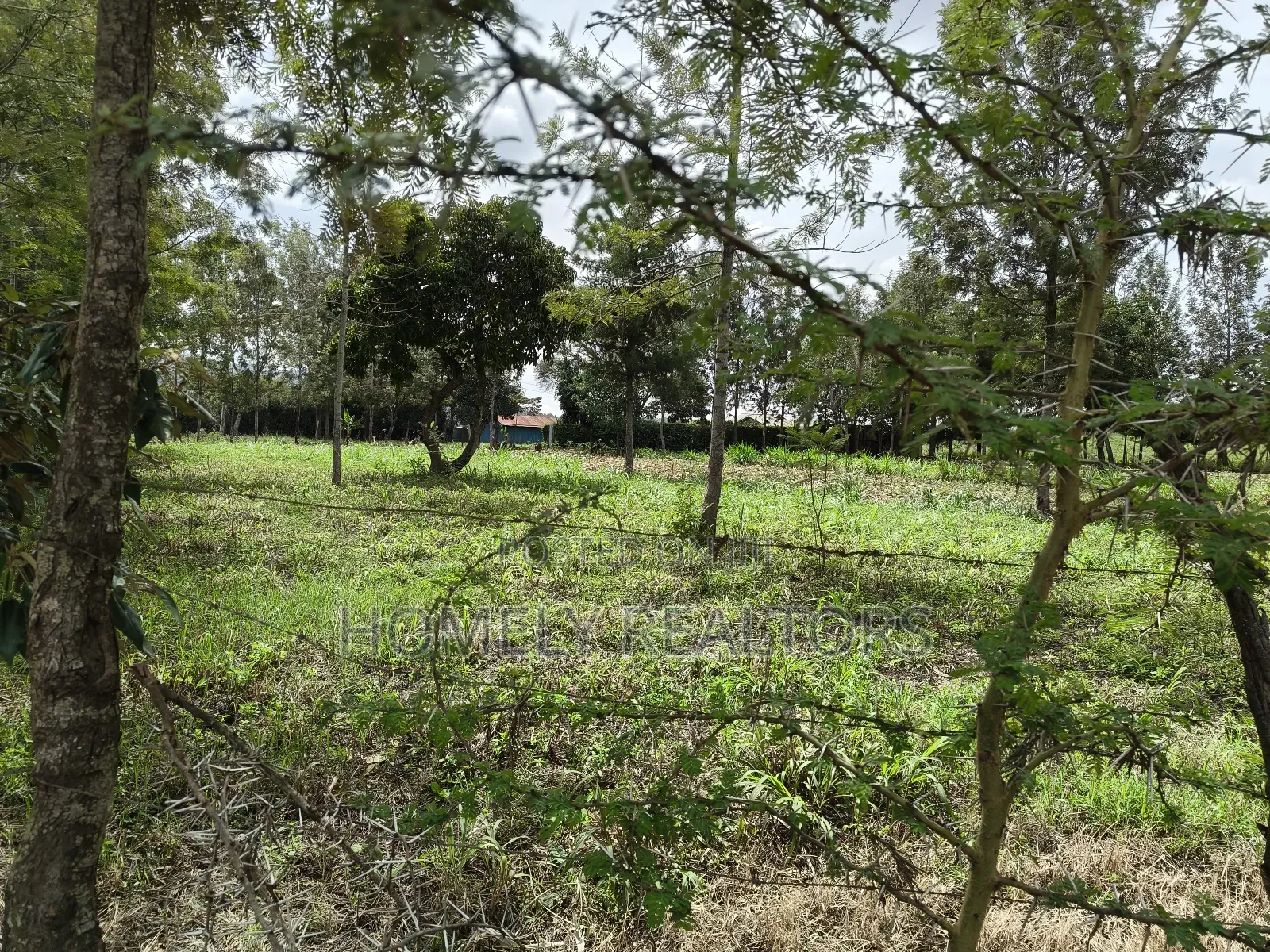 Leafy Quarter Acre Plot in Ngong, Matasia Along Oloika Road in Matasia