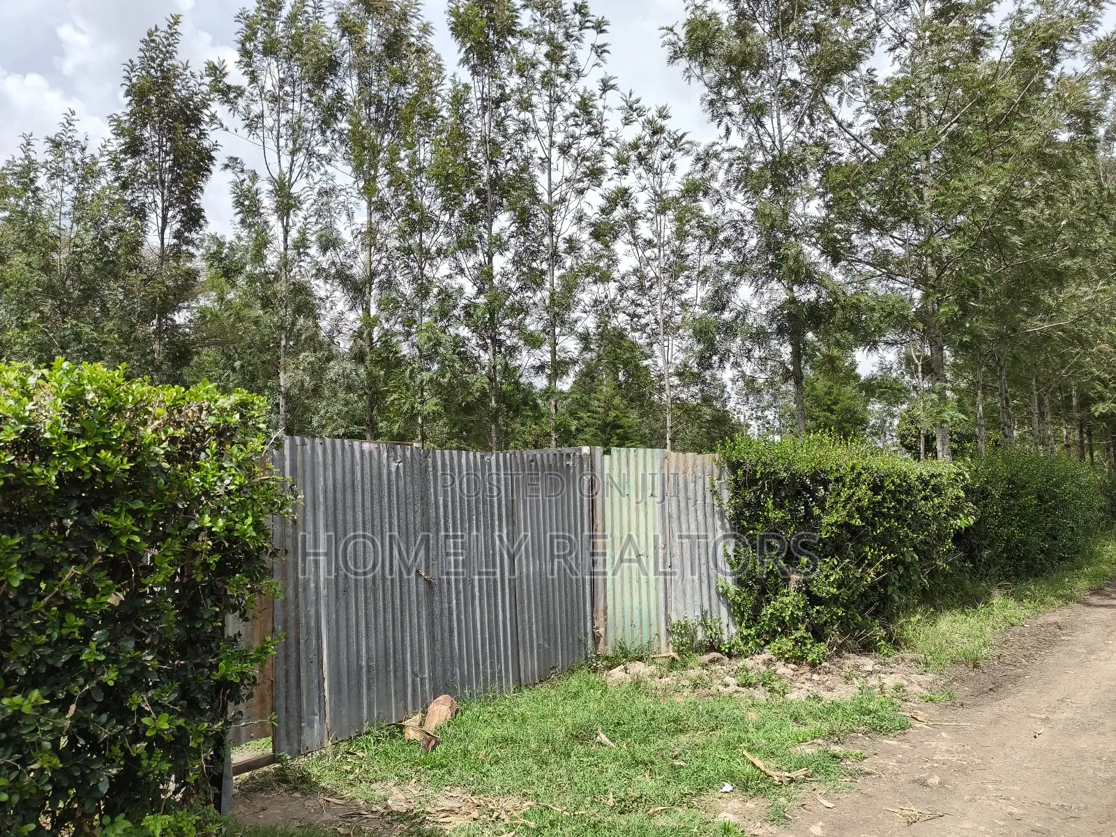 Leafy Quarter Acre Plot in Ngong, Matasia Along Oloika Road in Matasia