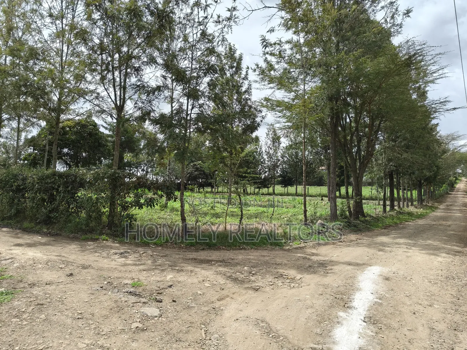 Leafy Quarter Acre Plot in Ngong, Matasia Along Oloika Road in Matasia