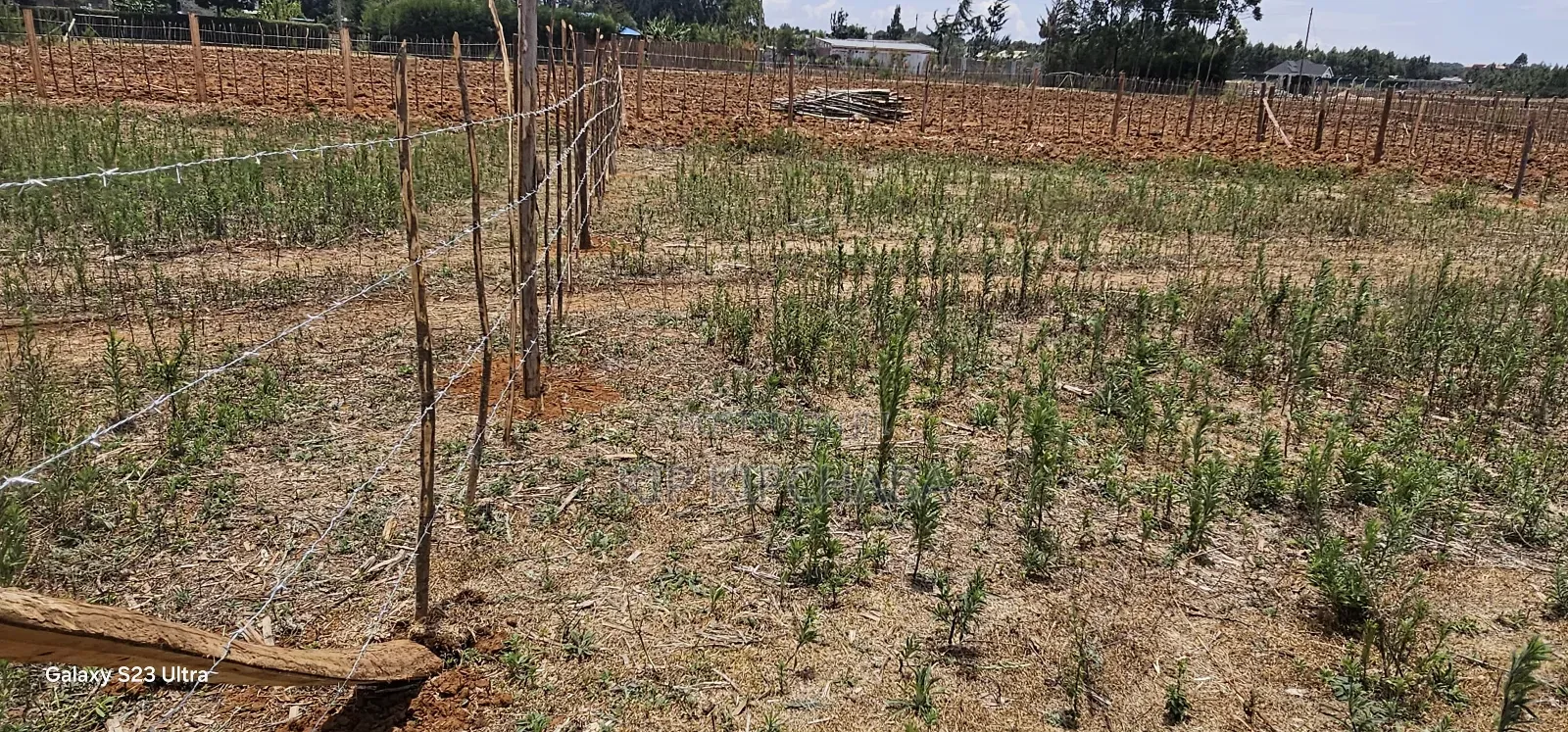 Plots For Sale Eldoret Kiplombe Kibulgeny in Kiplombe