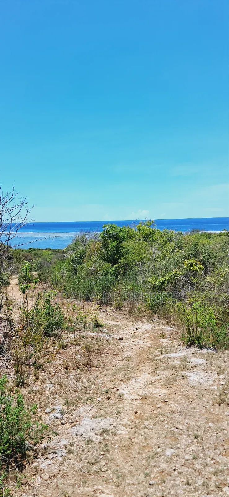 For Sale 25 Acres Beach Land Tiwi in Tiwi