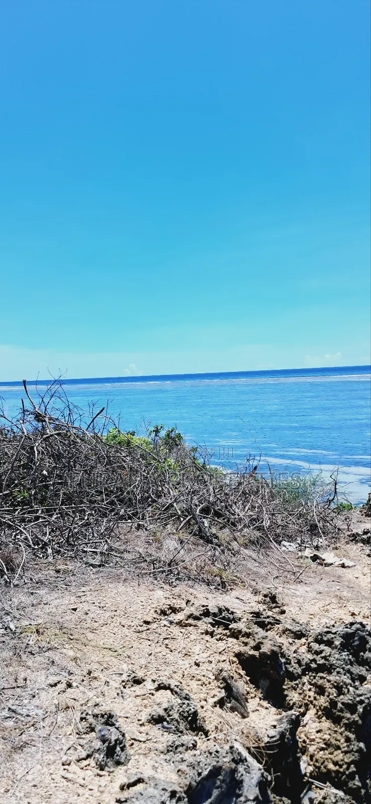 For Sale 25 Acres Beach Land Tiwi in Tiwi