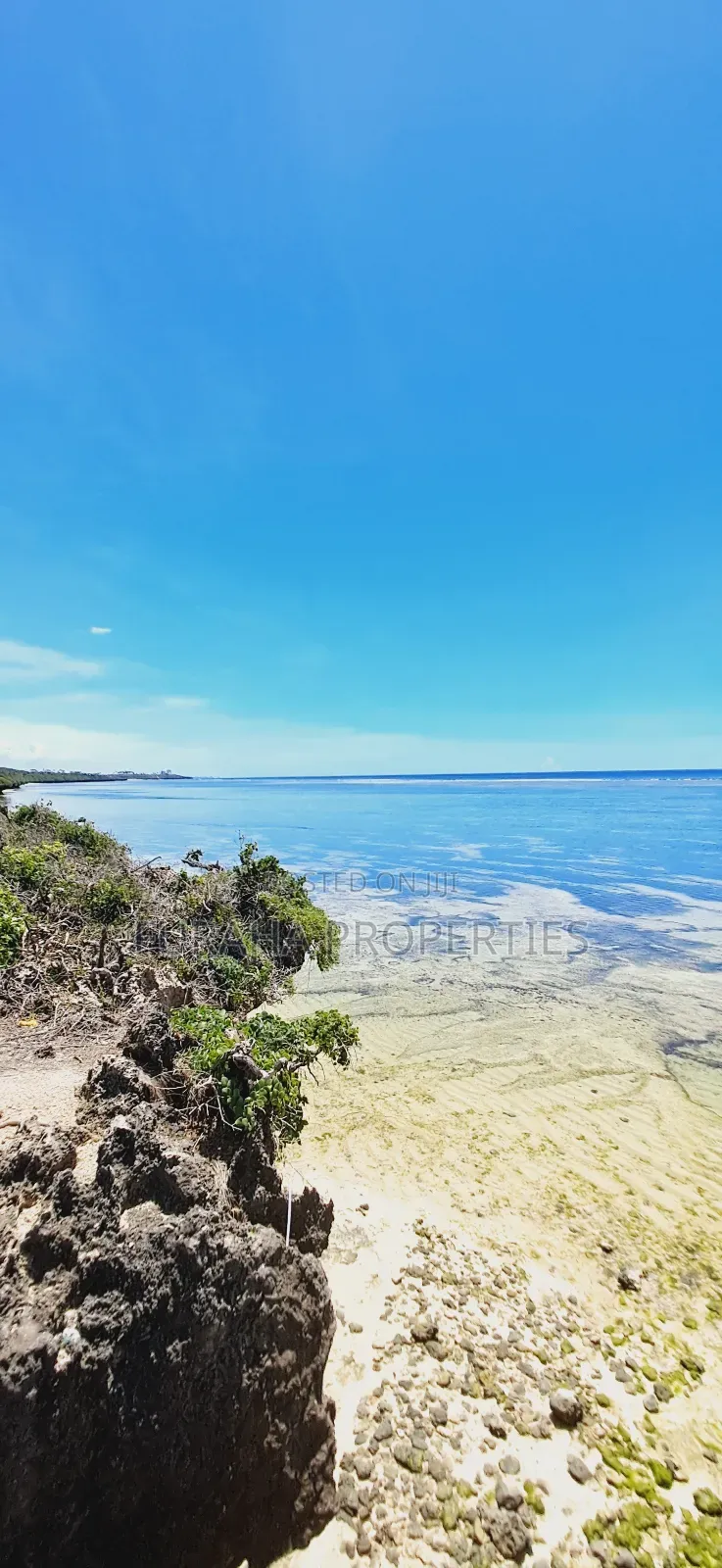 For Sale 25 Acres Beach Land Tiwi in Tiwi