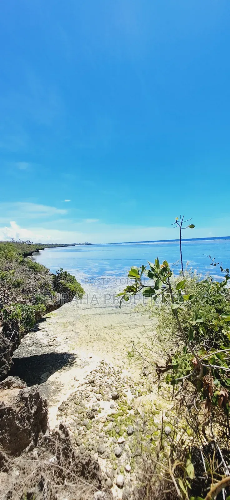 For Sale 25 Acres Beach Land Tiwi in Tiwi