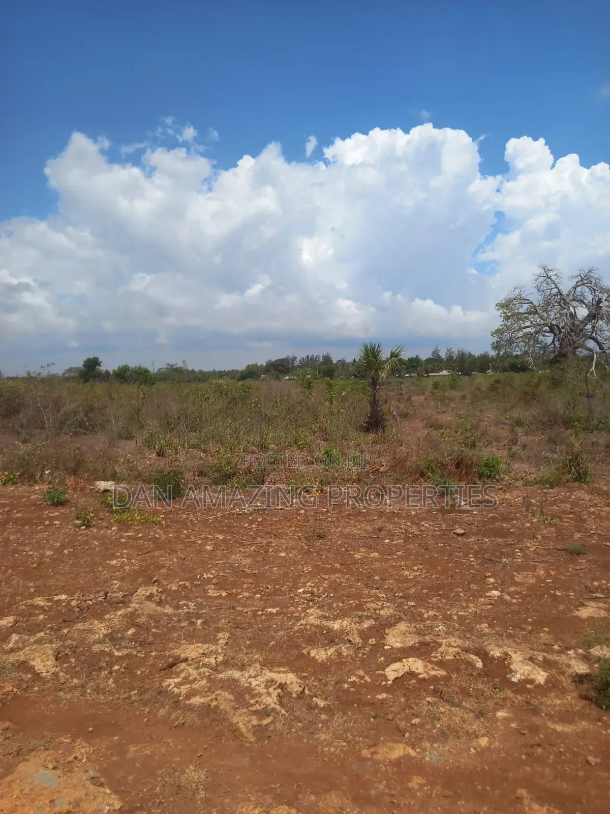1/4 Acre Msa Vipingo for Sale Touching 2 Service Roads in Vipingo