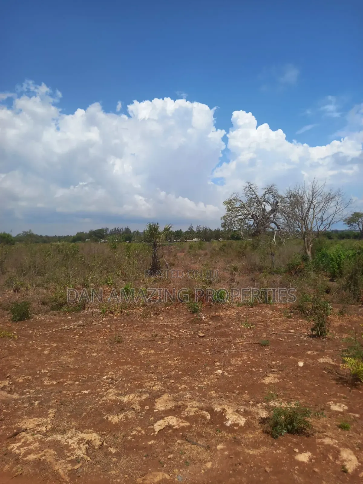 1/4 Acre Msa Vipingo for Sale Touching 2 Service Roads in Vipingo