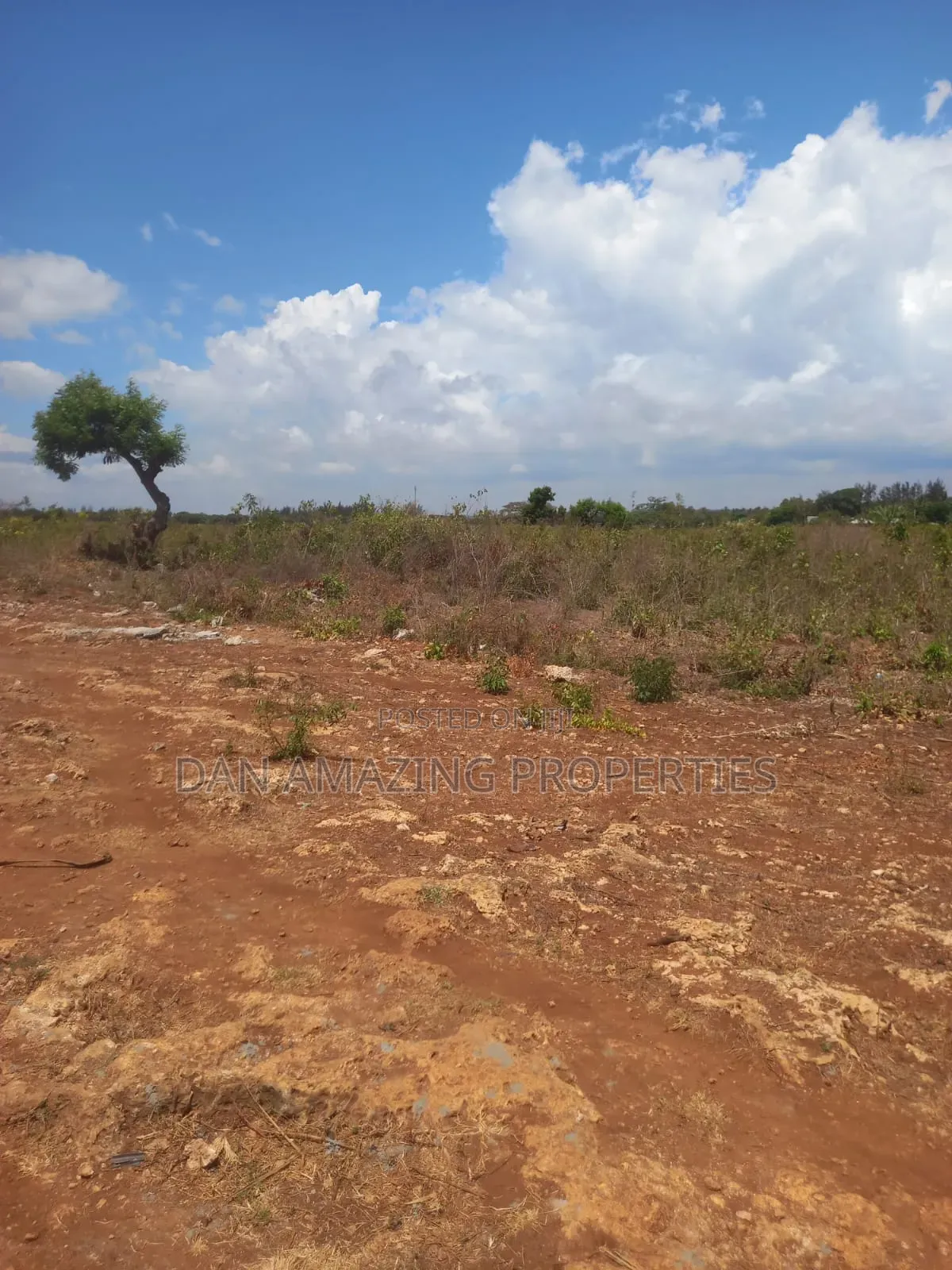 1/4 Acre Msa Vipingo for Sale Touching 2 Service Roads in Vipingo