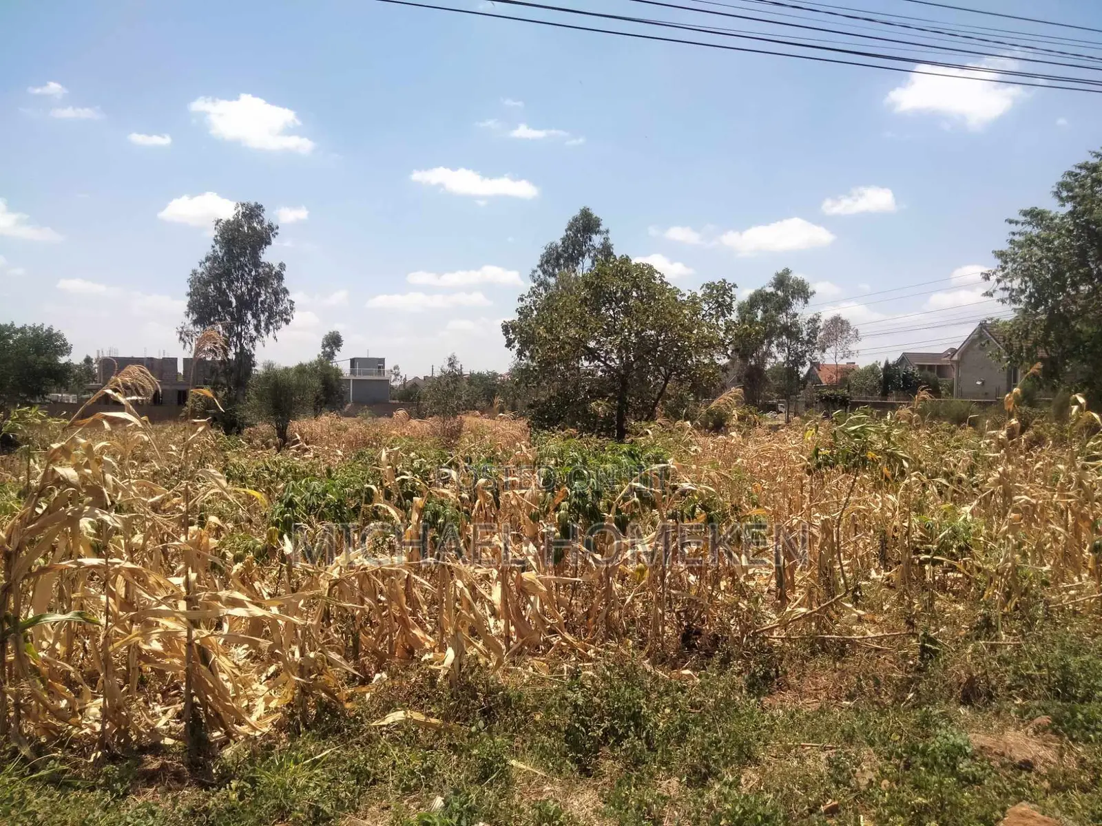 An Eighth Acre for Sale in Kenyatta Road Croton Estate Area in Kenyatta Road / Theta 