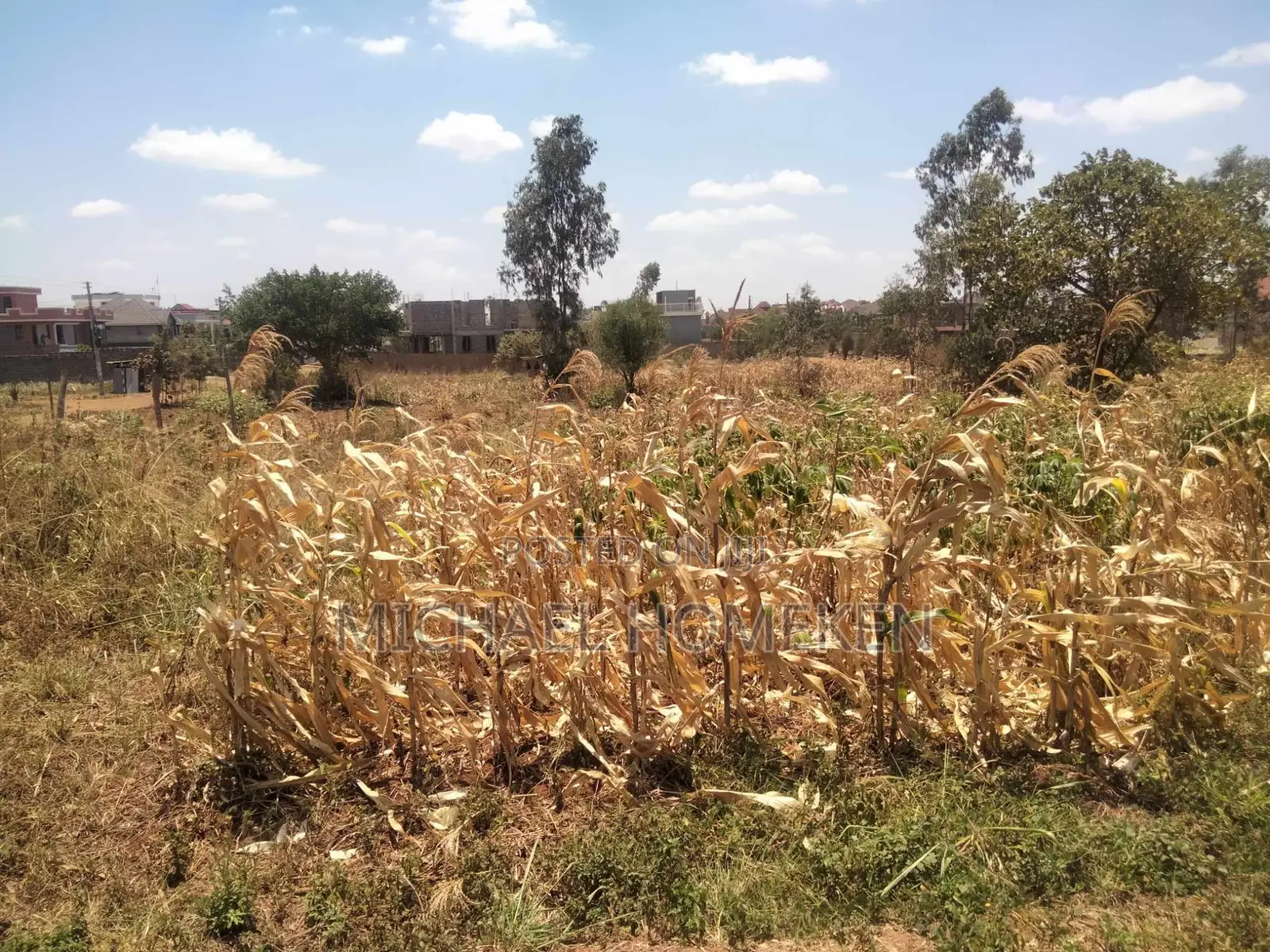 An Eighth Acre for Sale in Kenyatta Road Croton Estate Area in Kenyatta Road / Theta 