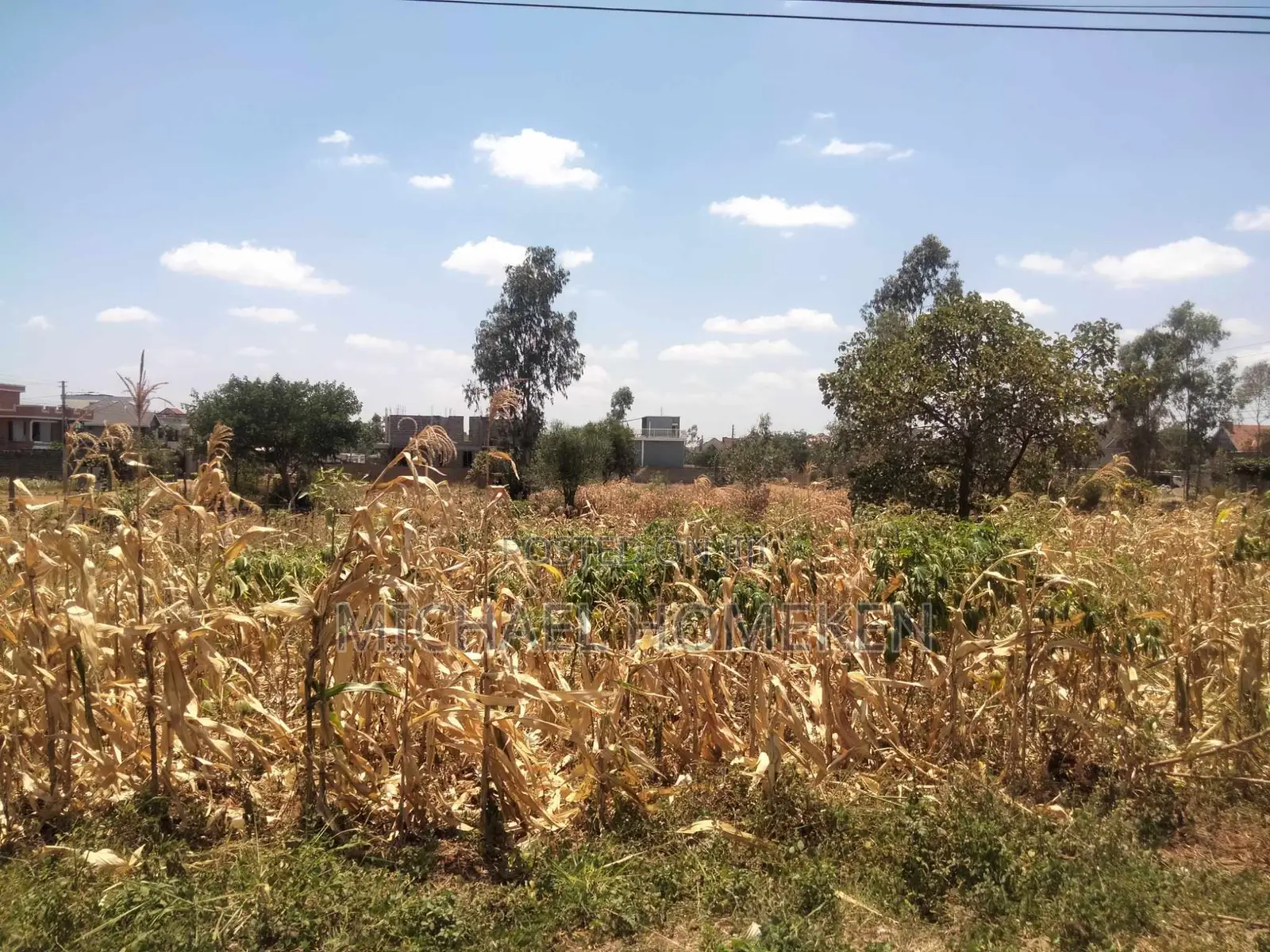 An Eighth Acre for Sale in Kenyatta Road Croton Estate Area in Kenyatta Road / Theta 