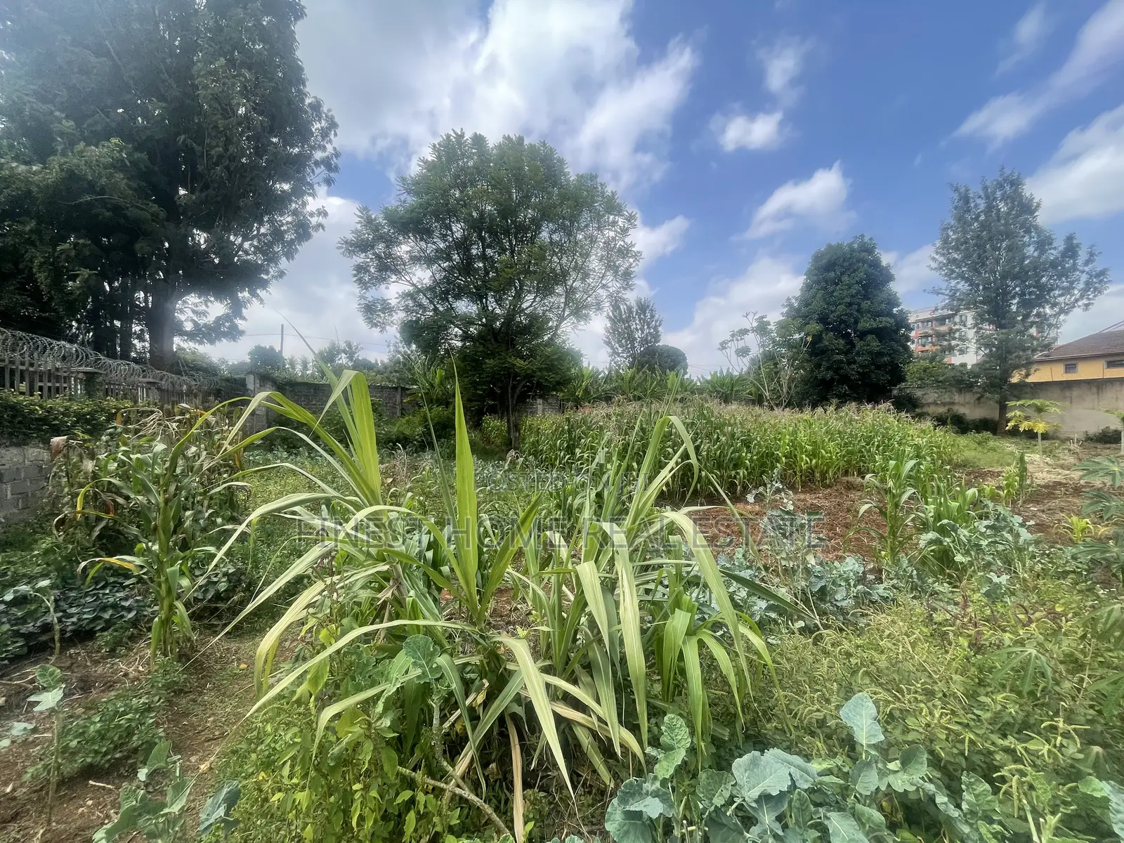 Half Acre Plot in Kitisuru