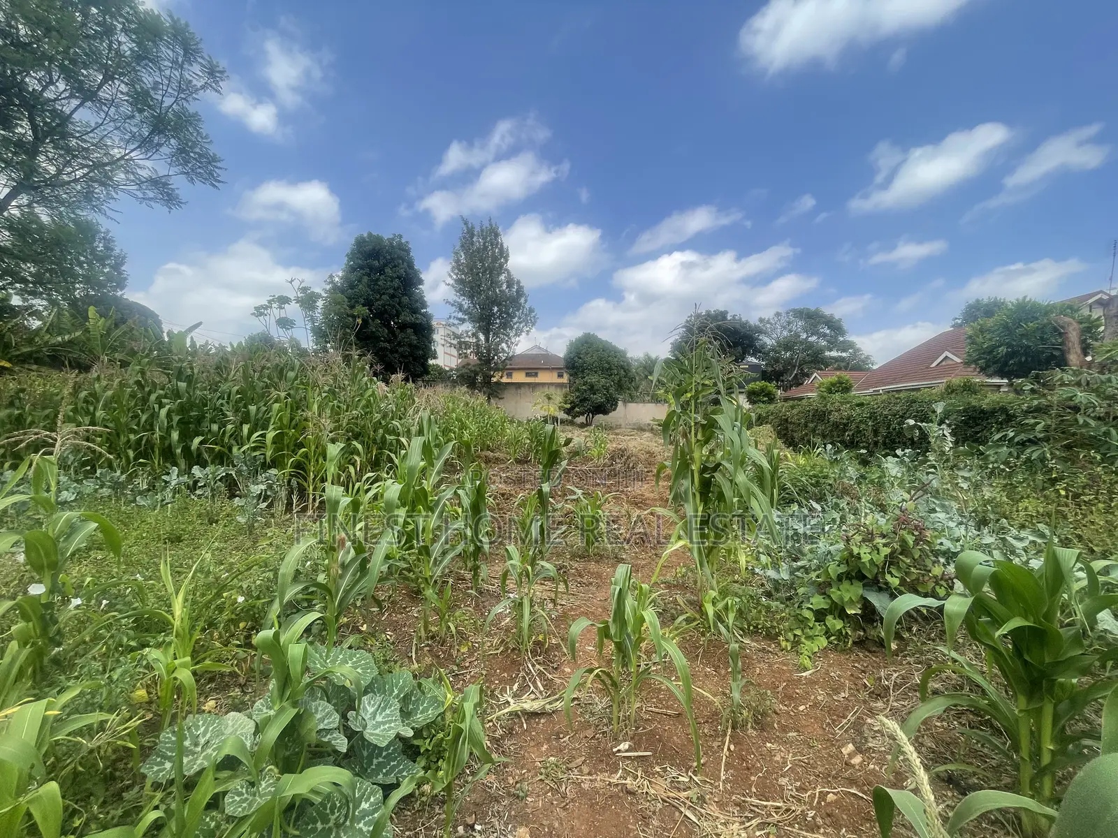 Half Acre Plot in Kitisuru