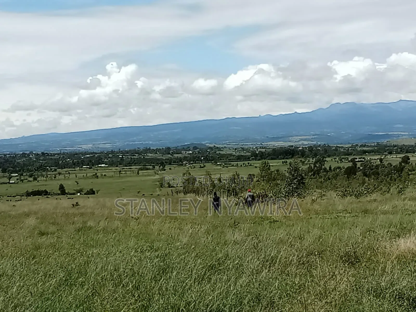 5 Acres for Sale Nanyuki Opposite Olopajeta in Nanyuki
