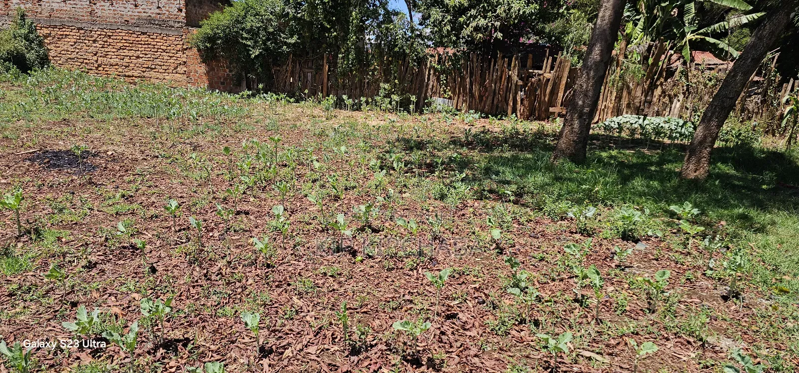 Commercial 1⁄4 Plot For Sale In Kimumu Eldoret in Kimumu