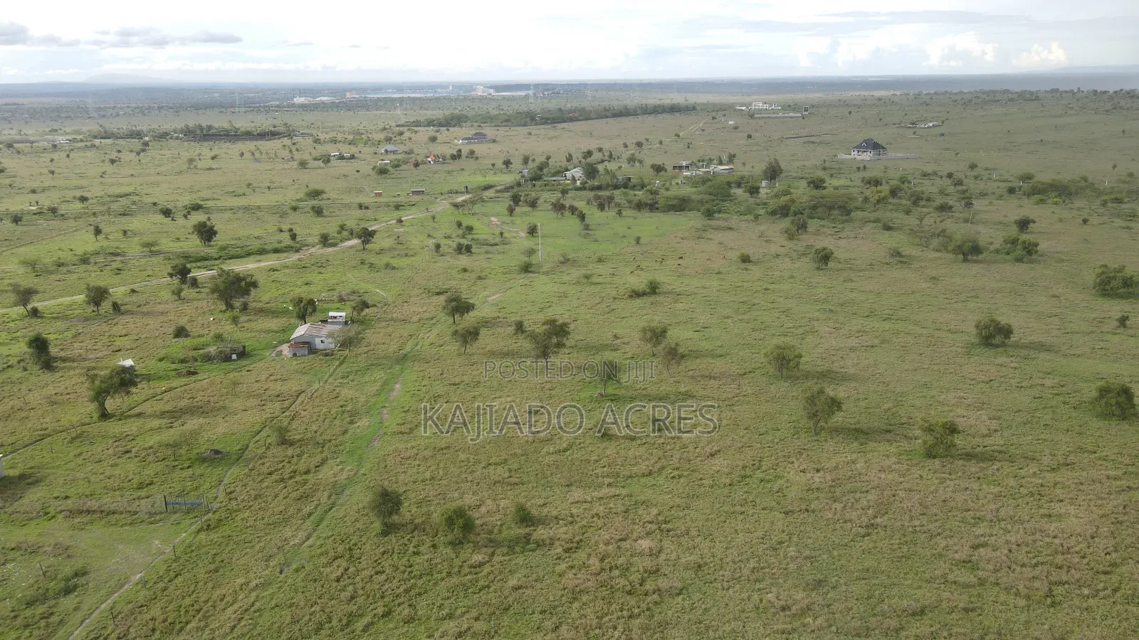 2 Acres Eiti at 3.7m Per Acre in DalaleKutuk