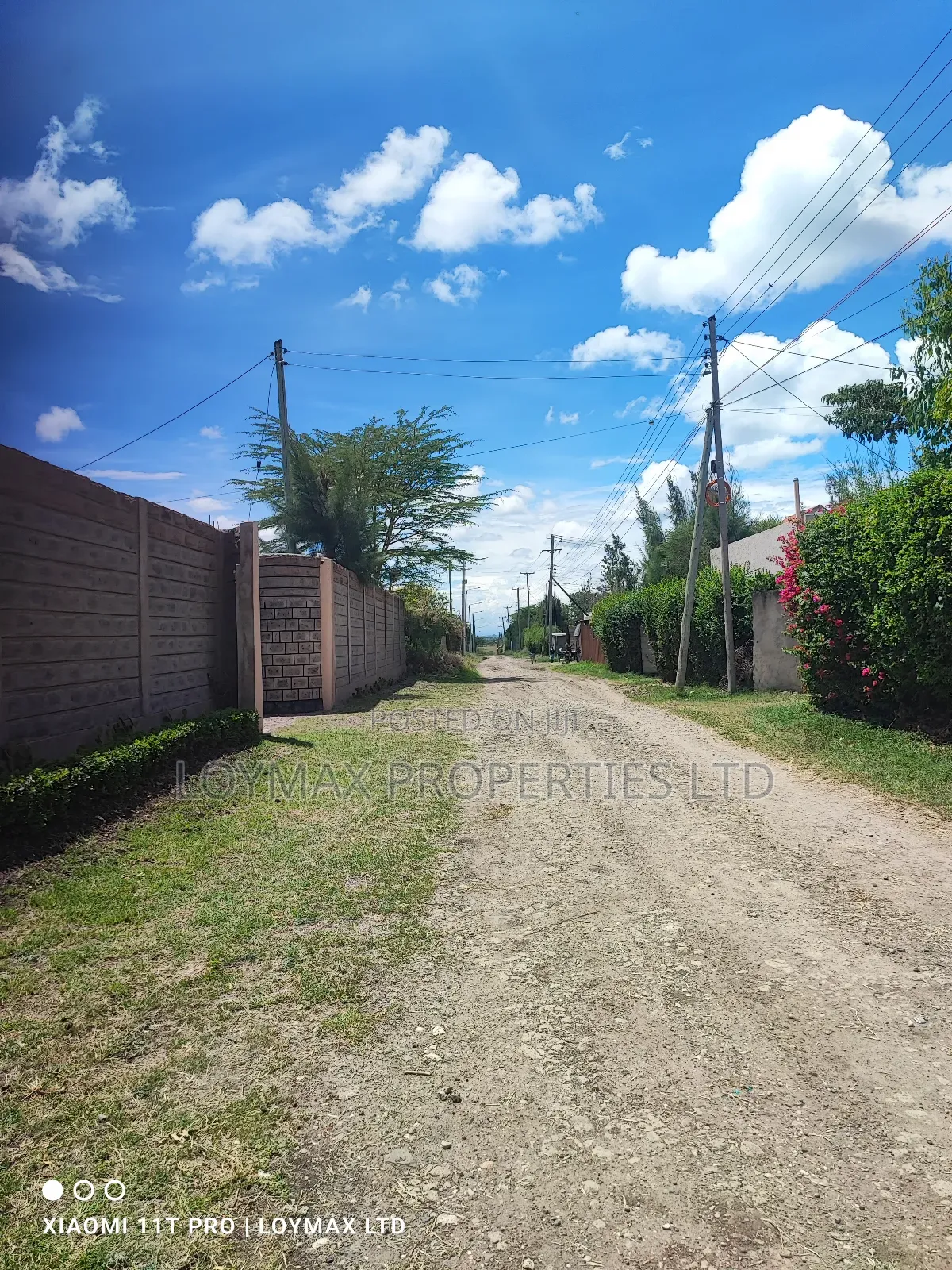 50/100 Plots for Sale in Kitengela Milimani New Life School in Kitengela