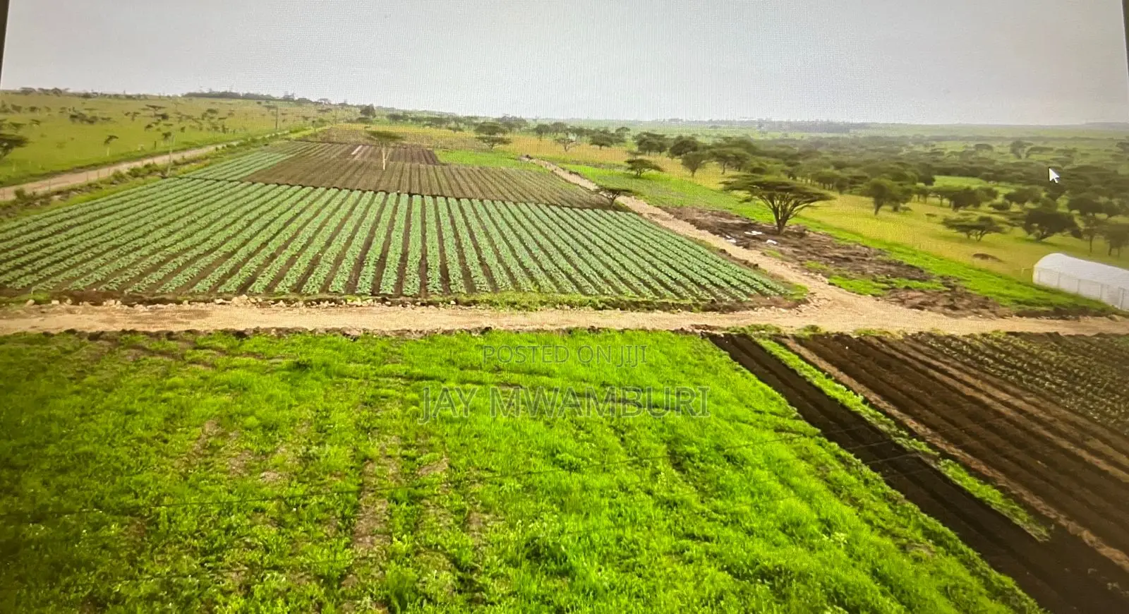 29 Acre Ready Farm Isinya Kajiado in Isinya