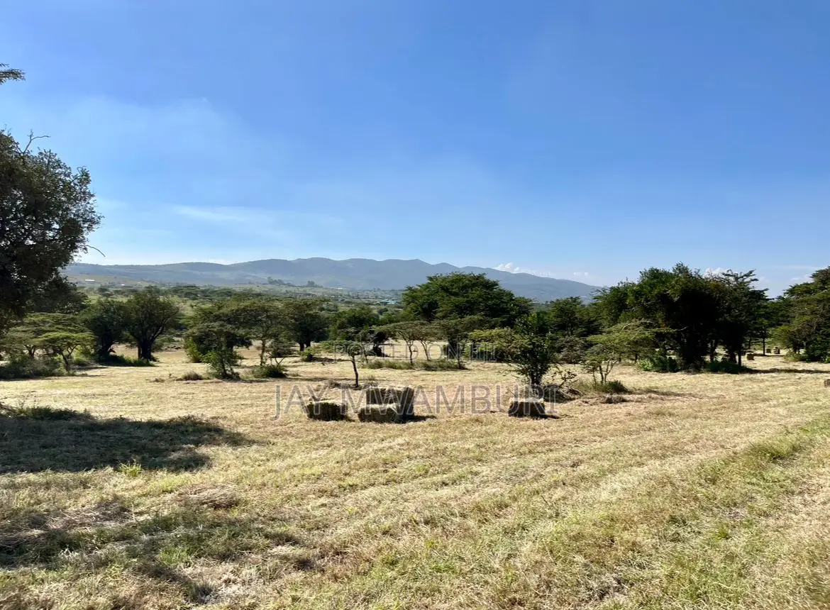 29 Acre Ready Farm Isinya Kajiado in Isinya