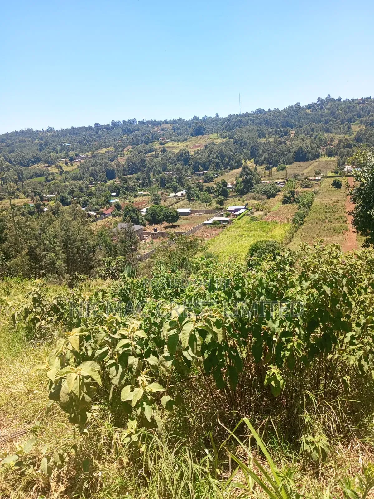 Plots for Sale, Gated Community in Limuru