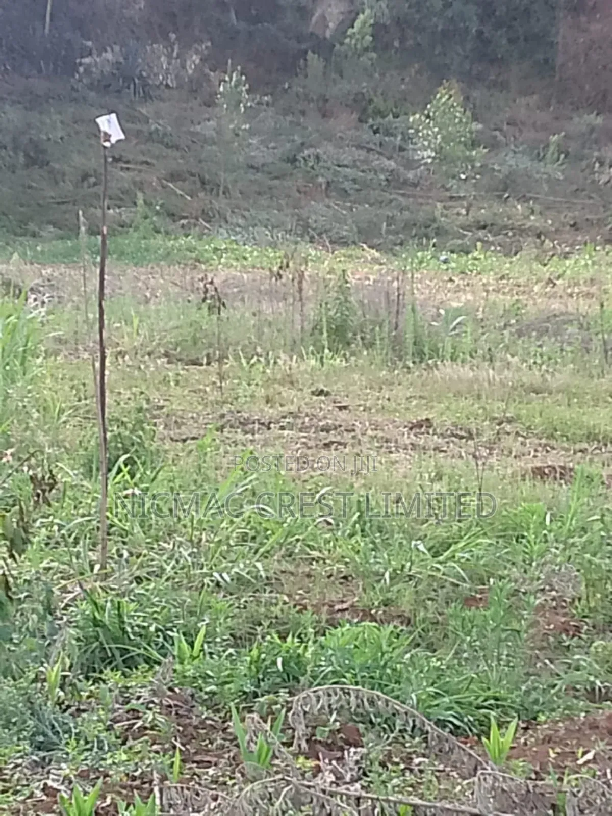 Plots for Sale Near Tilisi Developments in Ngecha