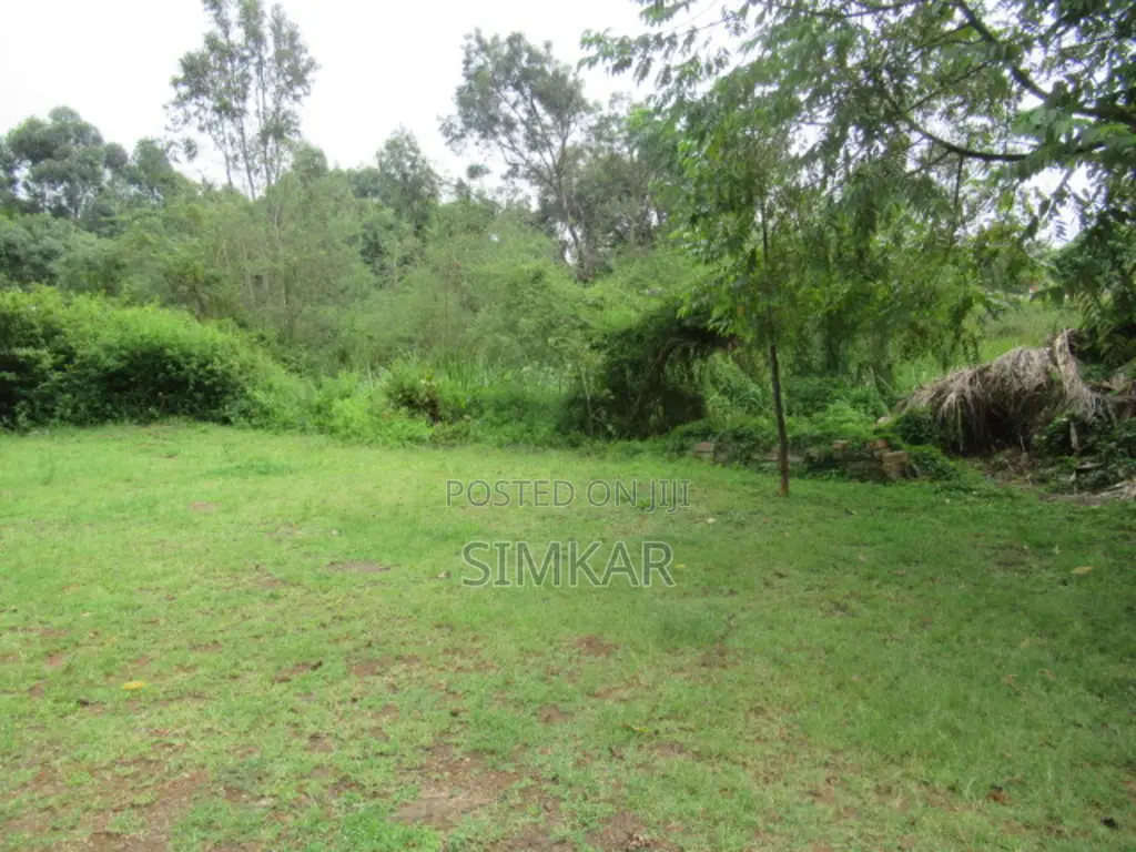 0.5-Acre Plot for Sale in Ridgeways in Ridgeways