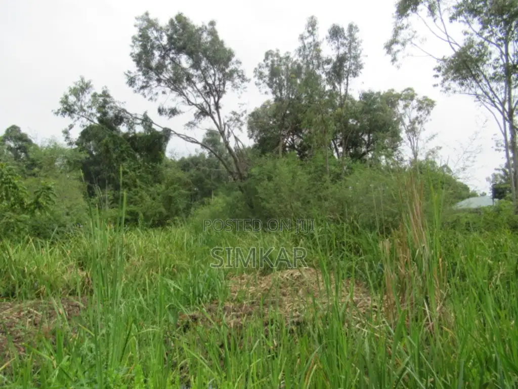 0.5-Acre Plot for Sale in Ridgeways in Ridgeways