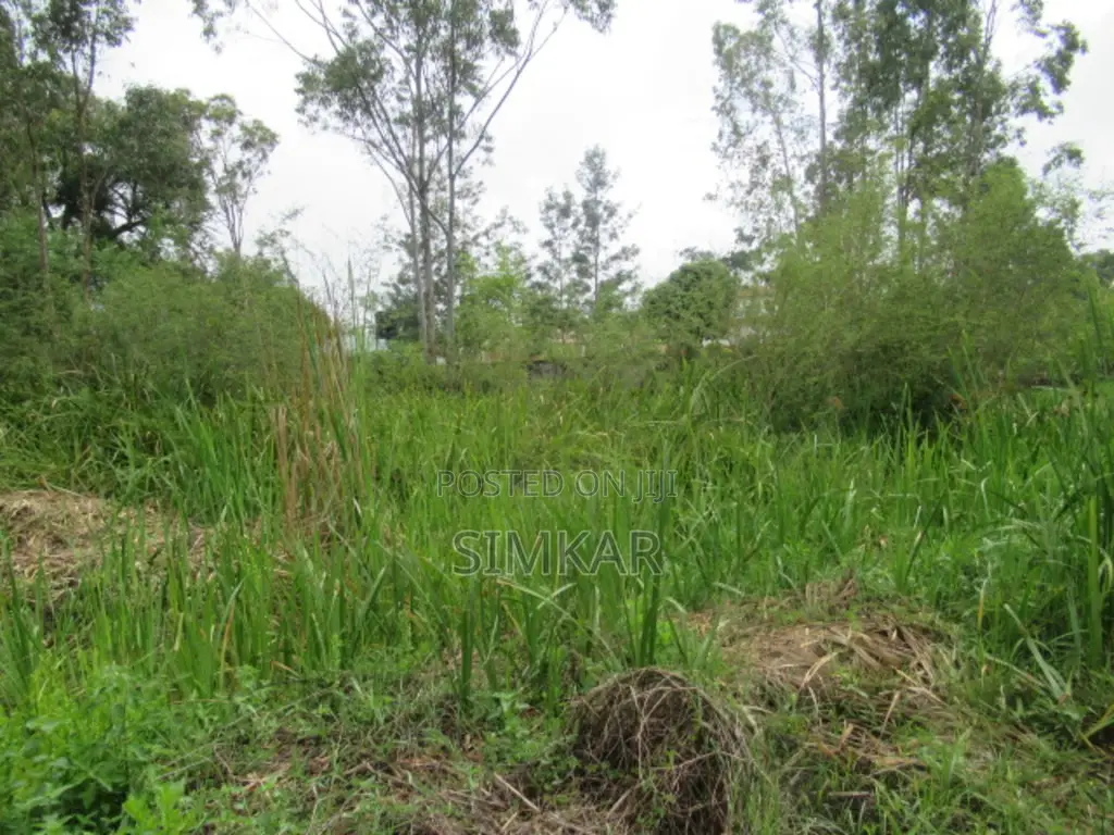 0.5-Acre Plot for Sale in Ridgeways in Ridgeways