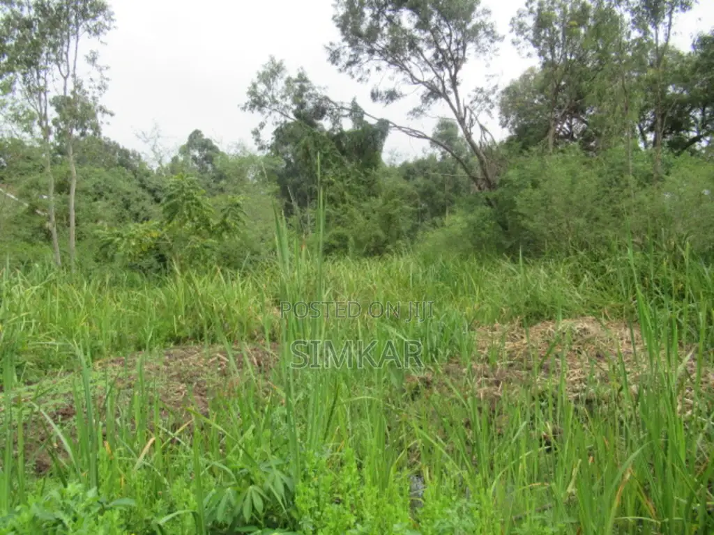 0.5-Acre Plot for Sale in Ridgeways in Ridgeways