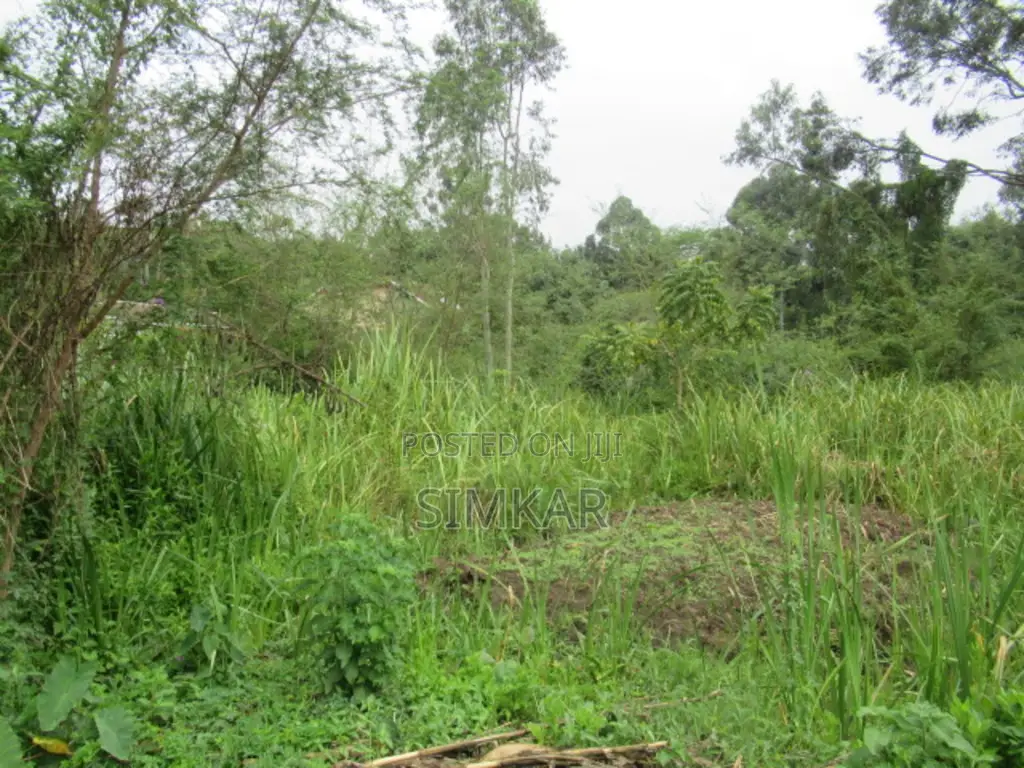 0.5-Acre Plot for Sale in Ridgeways in Ridgeways