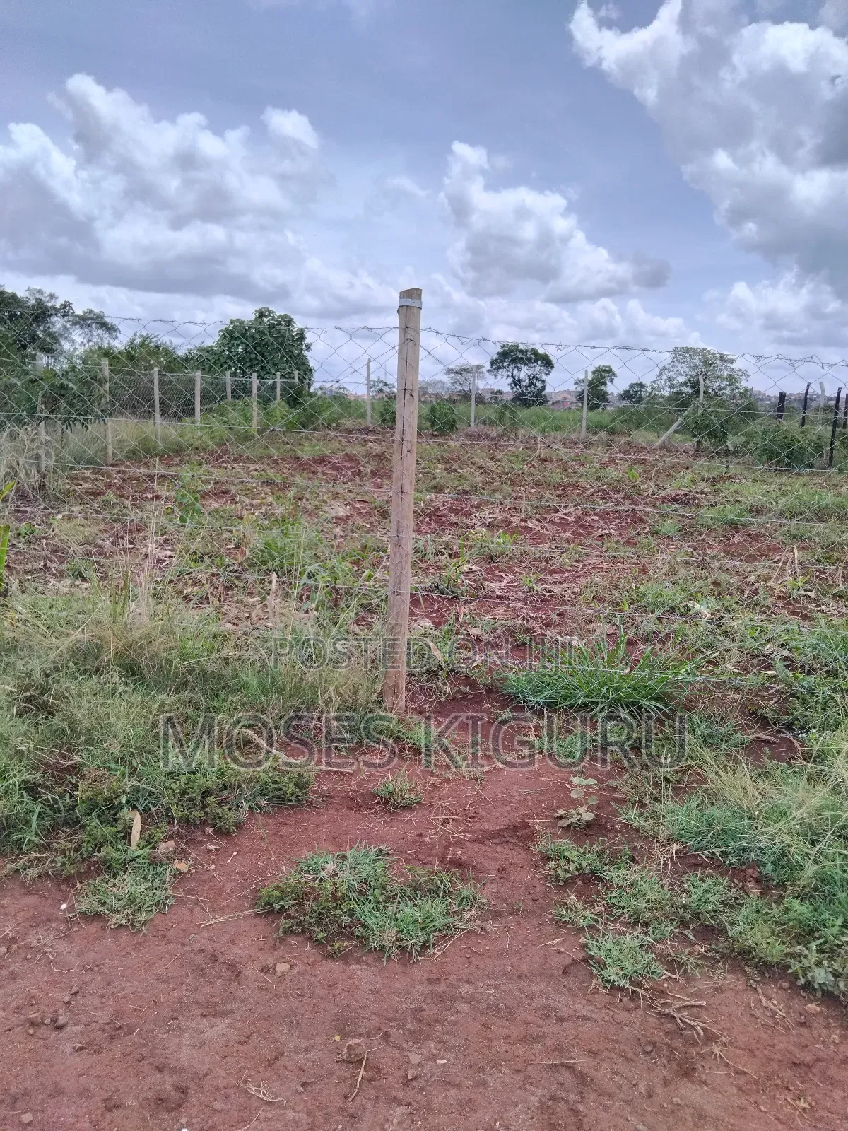 Tola, 50x100 Plots. in Juja