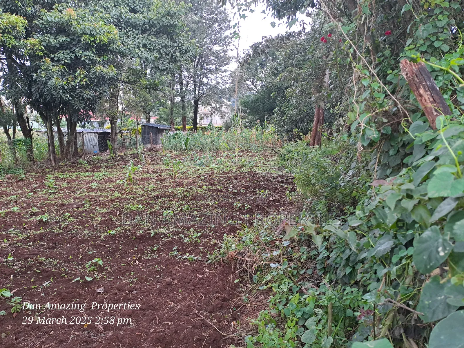 1/4 Acre Ngong Lemiso Road for Sale Touching Tarmac in Ngong