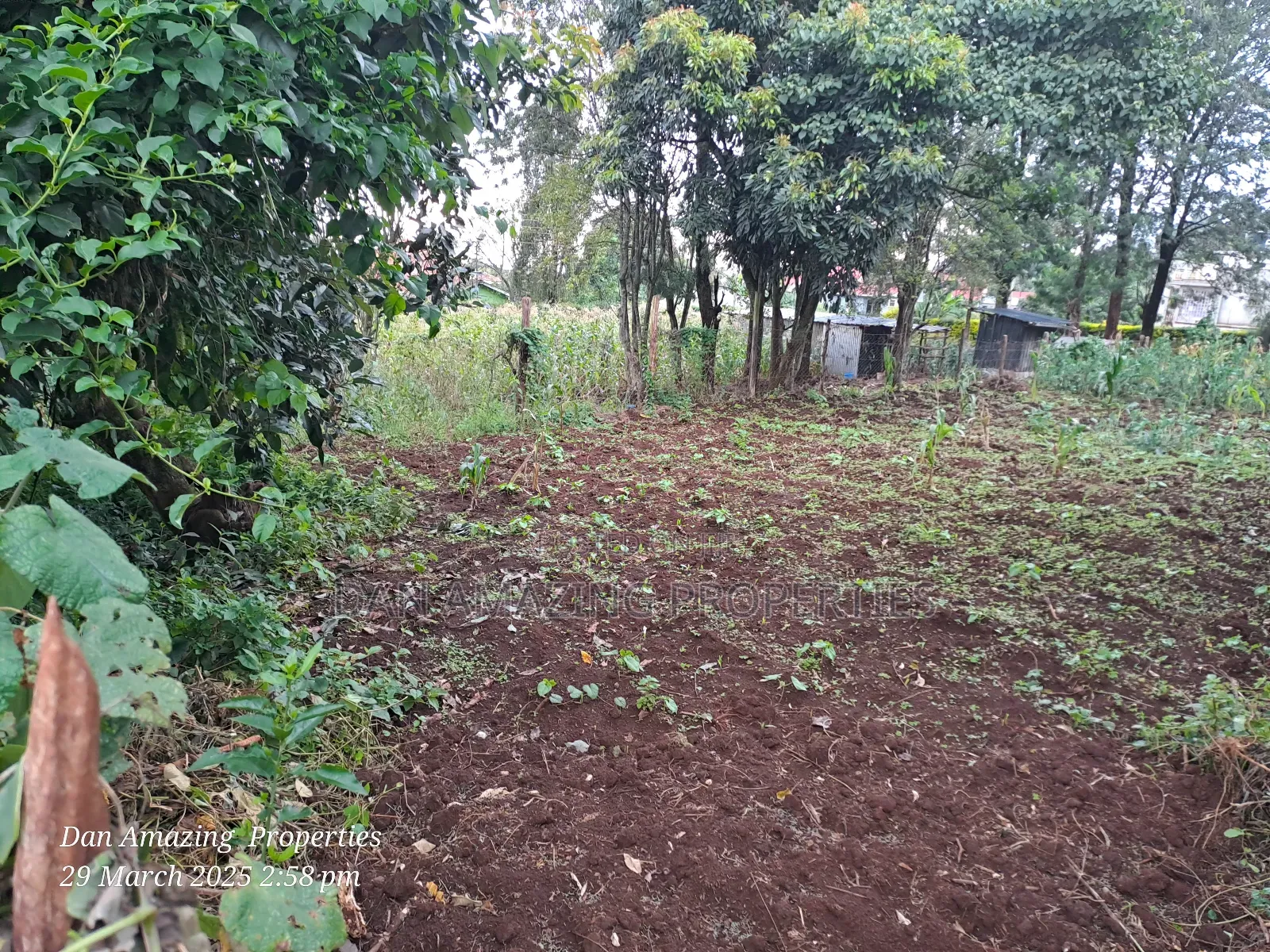 1/4 Acre Ngong Lemiso Road for Sale Touching Tarmac in Ngong