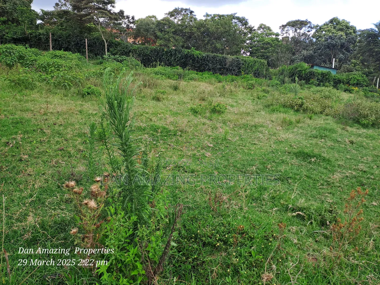 1/4 Acre Ngong Lemiso Road for Sale in Ngong