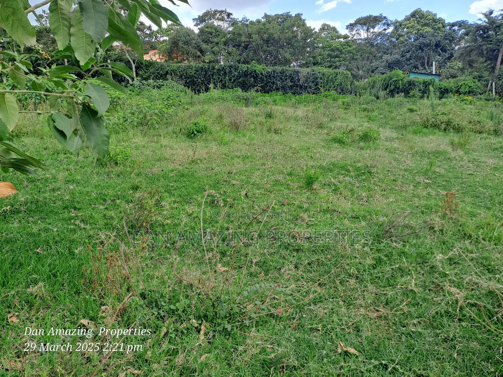 1/4 Acre Ngong Lemiso Road for Sale in Ngong