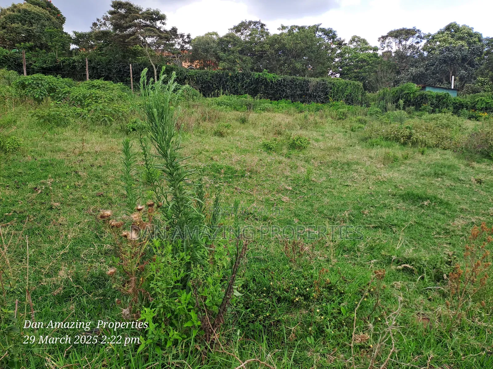 1/4 Acre Ngong Lemiso Road for Sale in Ngong