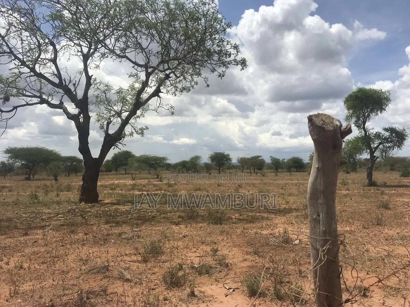 4 Acres Farm Makindu in Makindu