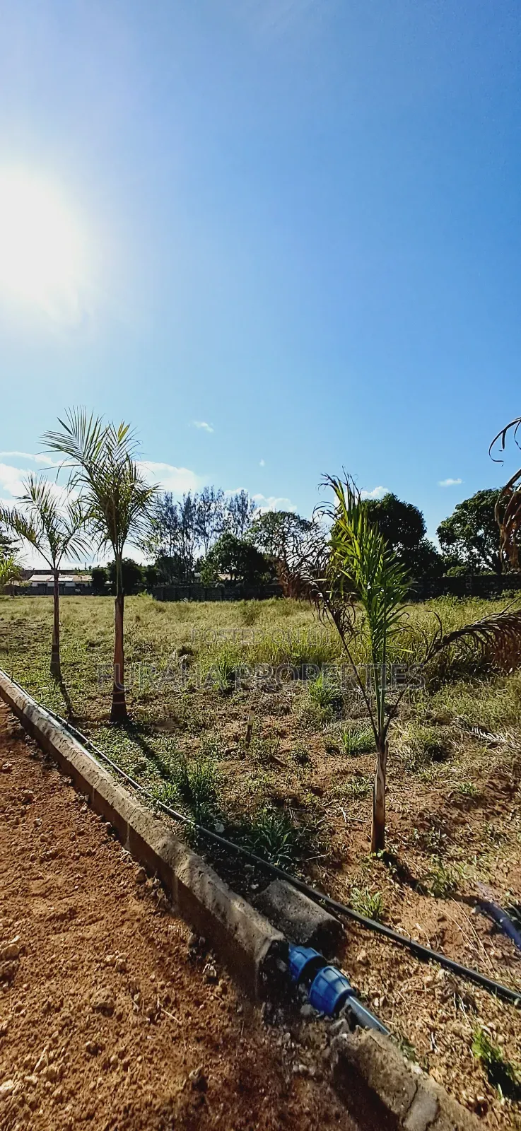 For Sale Eighth Acre Plots Mtwapa in Mtwapa