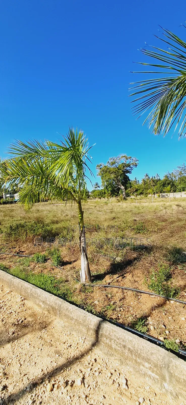 For Sale Eighth Acre Plots Mtwapa in Mtwapa