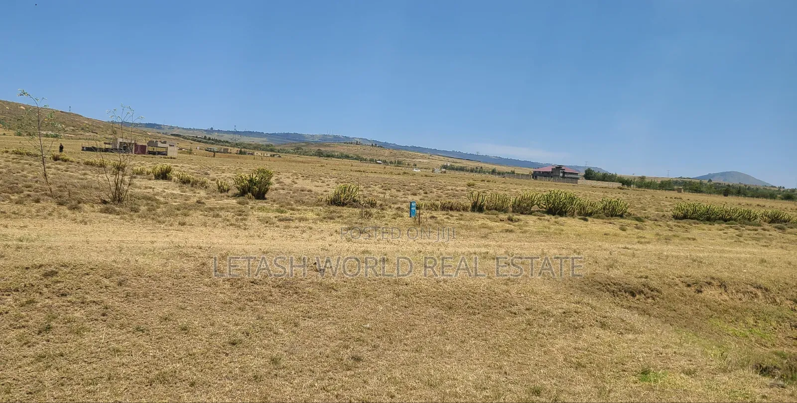 Right Next to the Tarmac ,3 Acres of Land in Mirera