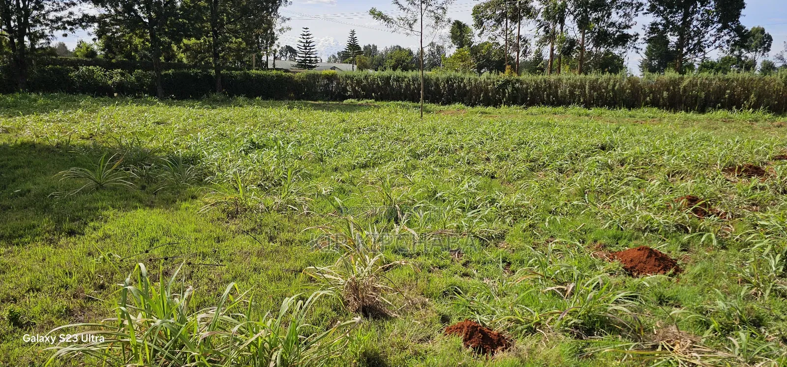 Plots for Sale in Annex Bethel Eldoret in Racecourse