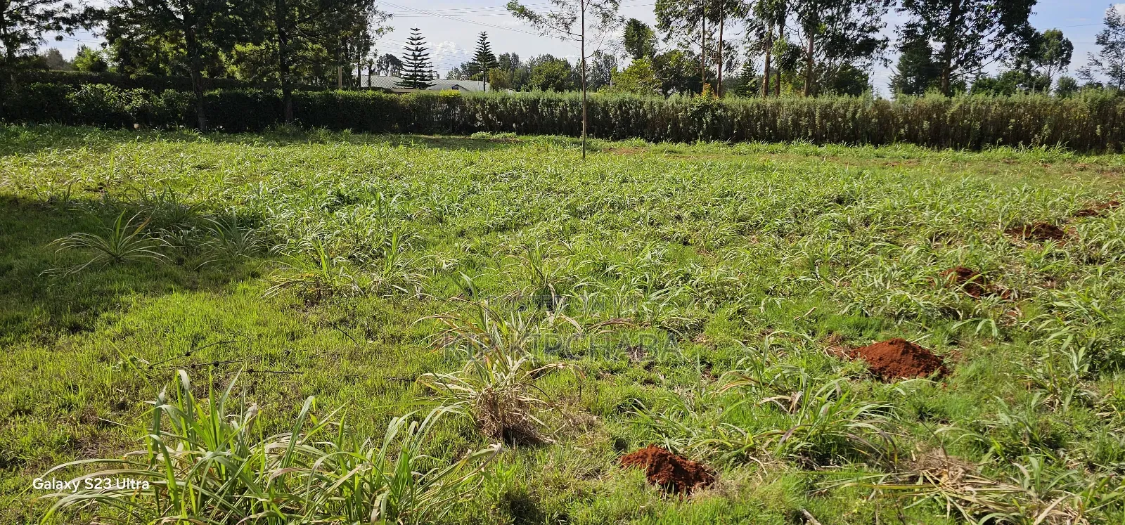 Plots for Sale in Annex Bethel Eldoret in Racecourse