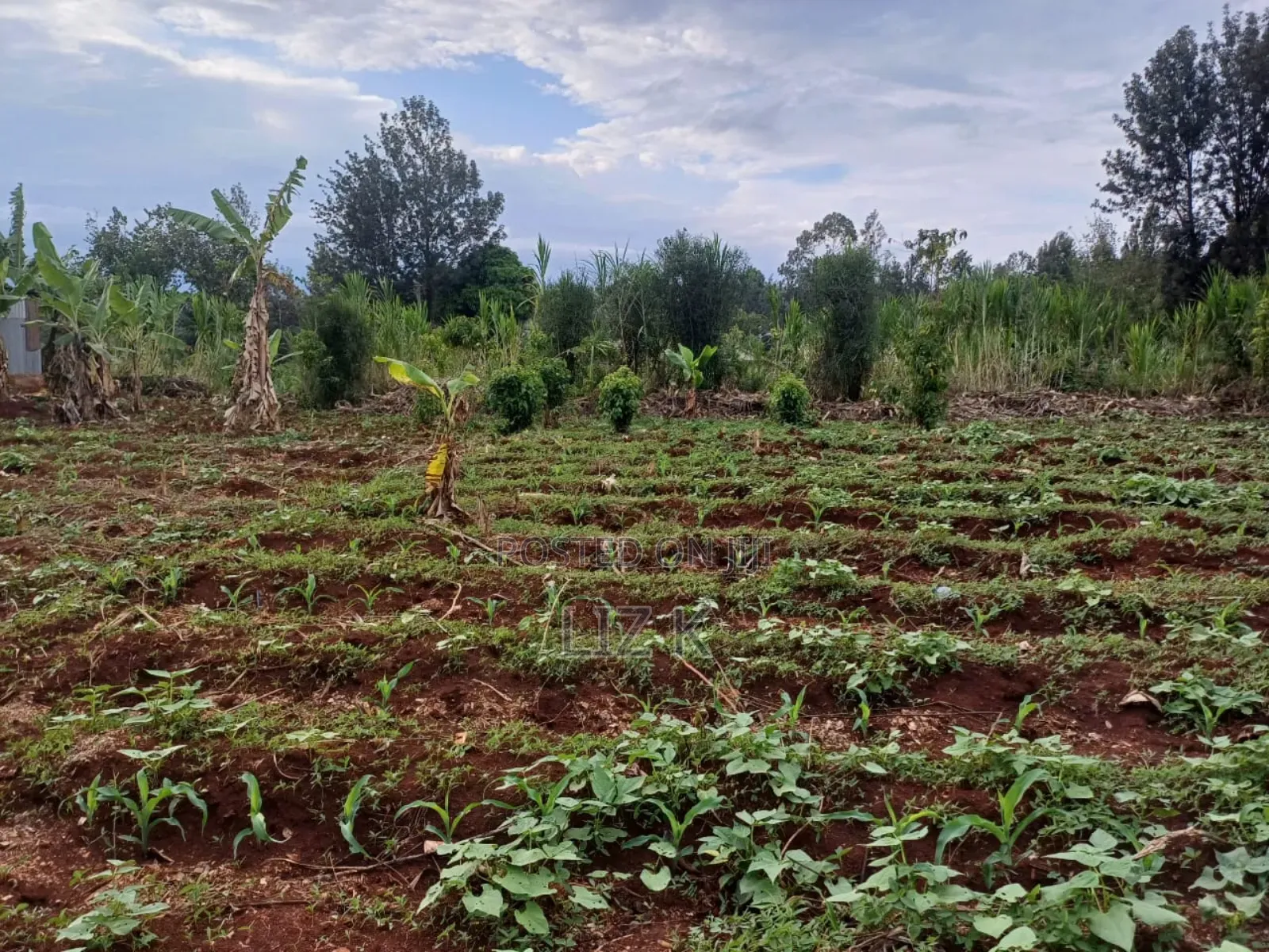 Half Acre in Kabati Kenol in Kimorori/Wempa