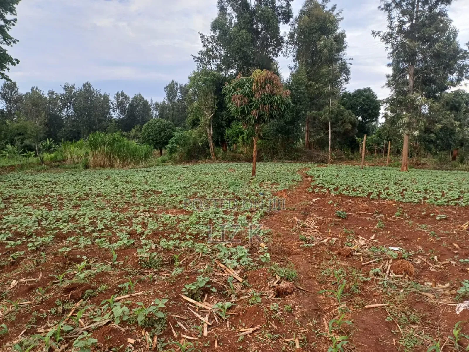 Half Acre in Kabati Kenol in Kimorori/Wempa