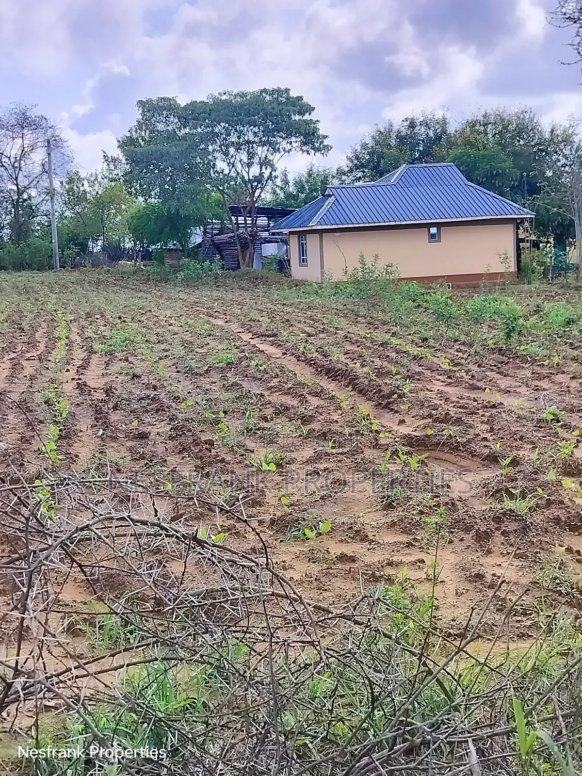 Plots In Matuu Size 50*100 in Matuu