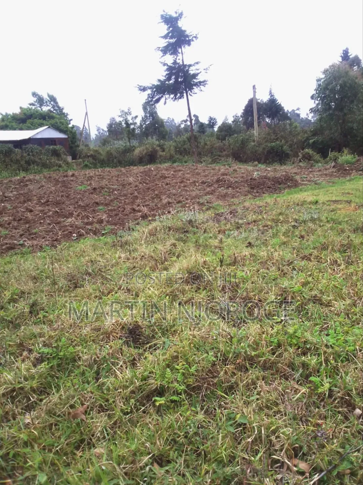 1⁄2 Acre Kirangi, Kirenga in Lari/Kirenga