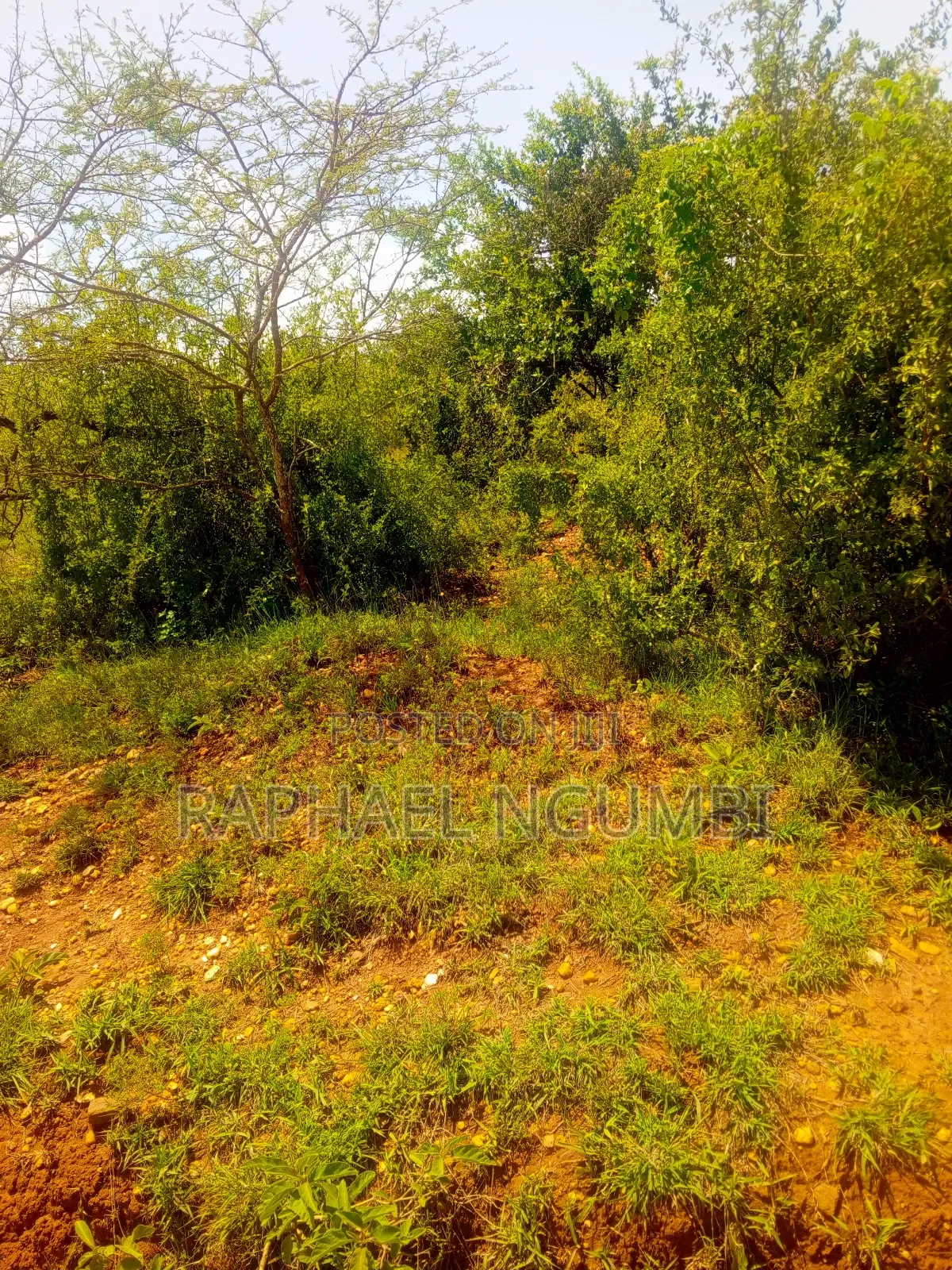 50*100 Plot at Thaitha Machakos in Machakos Town