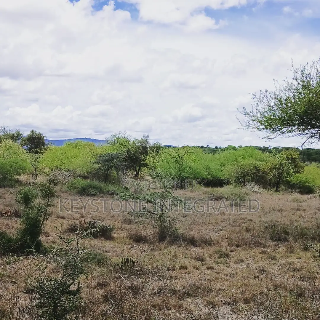 Land for Sale in Konza in Eselenkei
